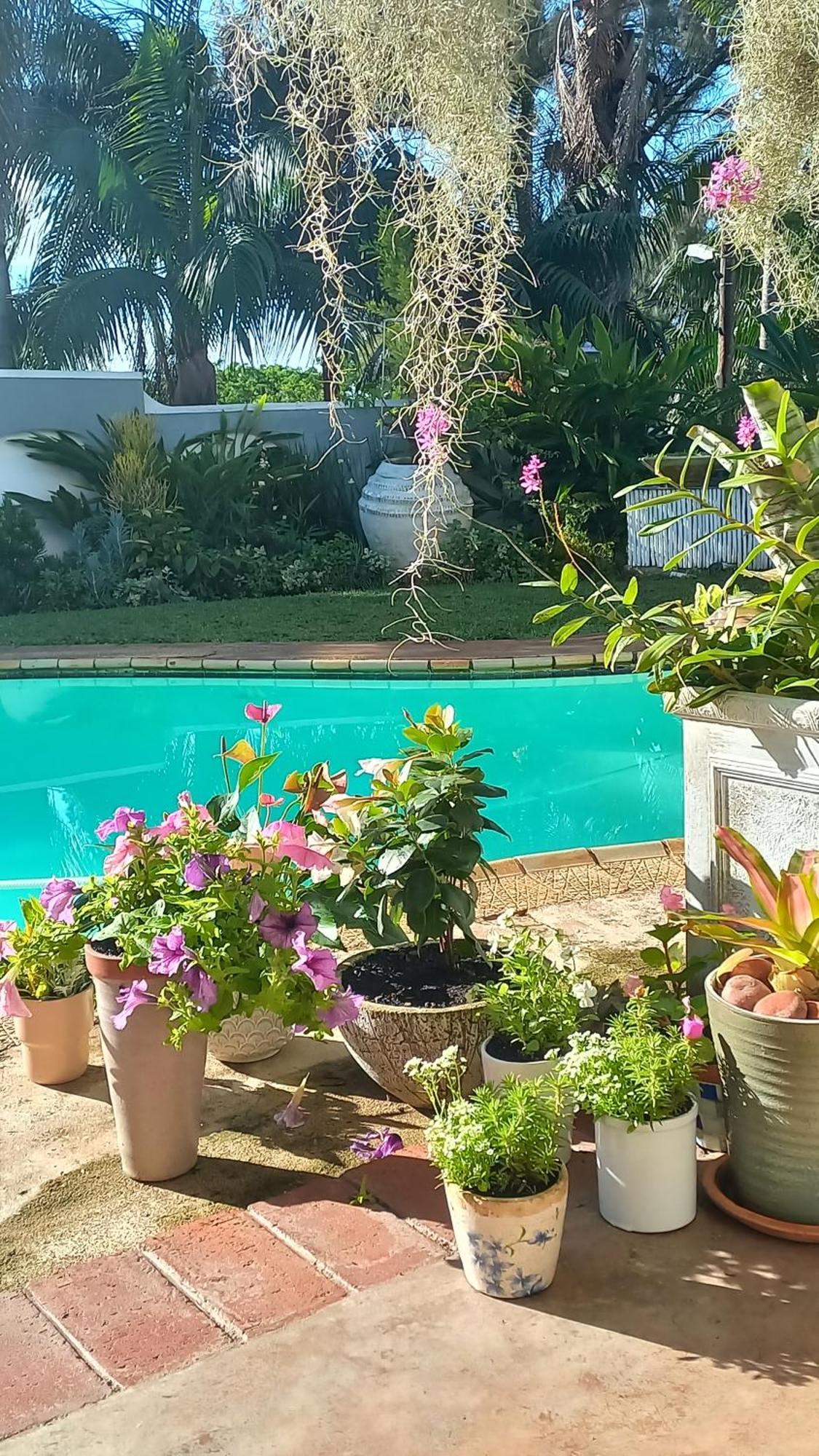 Coral Tree At Roc Guesthouse, Salt Rock Ballito, Solar Power